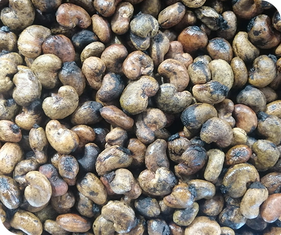 Raw Cashew Nut