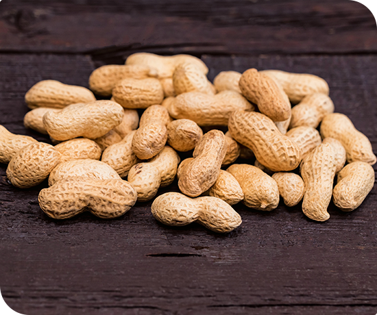 Groundnuts